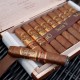 Oliva Serie V Melanio Gran Reserva Robusto PUOLSVMRR52