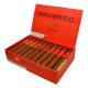 MACANUDO INSPIRADO ORANGE GIGANTE PUMIORGI60