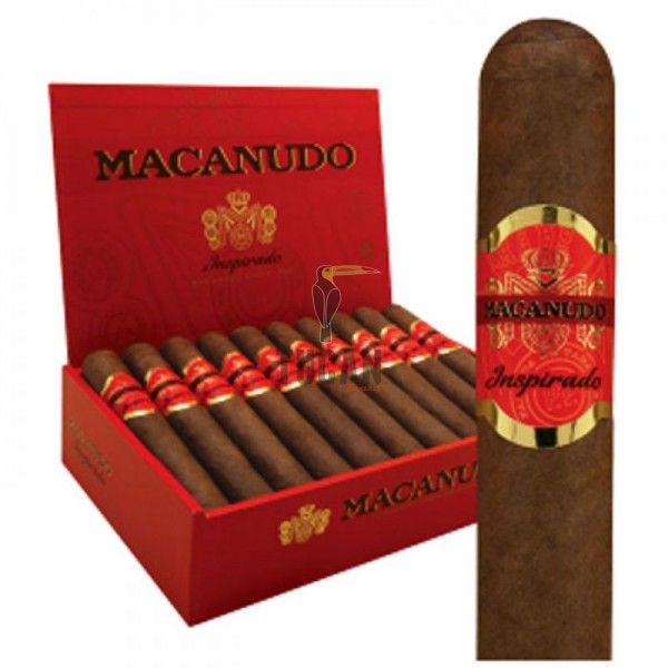MACANUDO INSPIRADO ORANGE GIGANTE PUMIORGI60