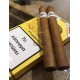 Jose Piedra Cazadores (5TMX) JPCAZ43