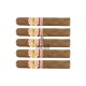 LA AURORA – Connecticut 1987 Robusto