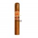 LA AURORA – Connecticut 1987 Robusto
