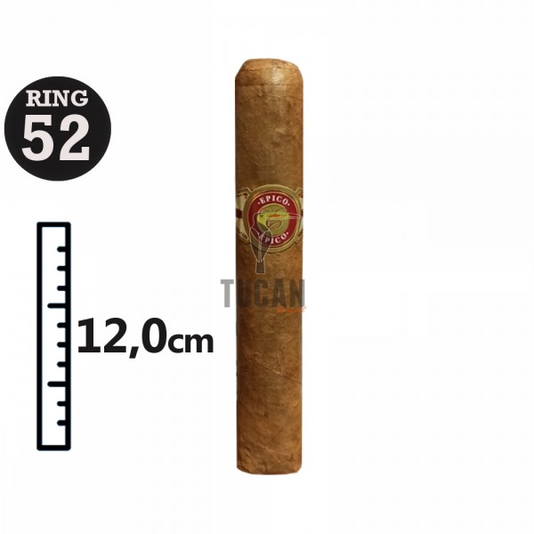 Plasencia Epico Robusto (10τμχ)