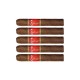 Joya de Nicaragua Red Short Churchill