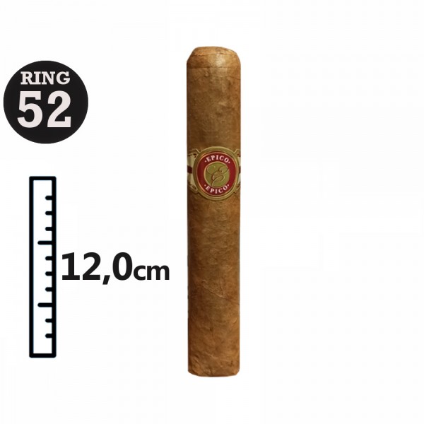 Plasencia Epico Robusto (10τμχ)