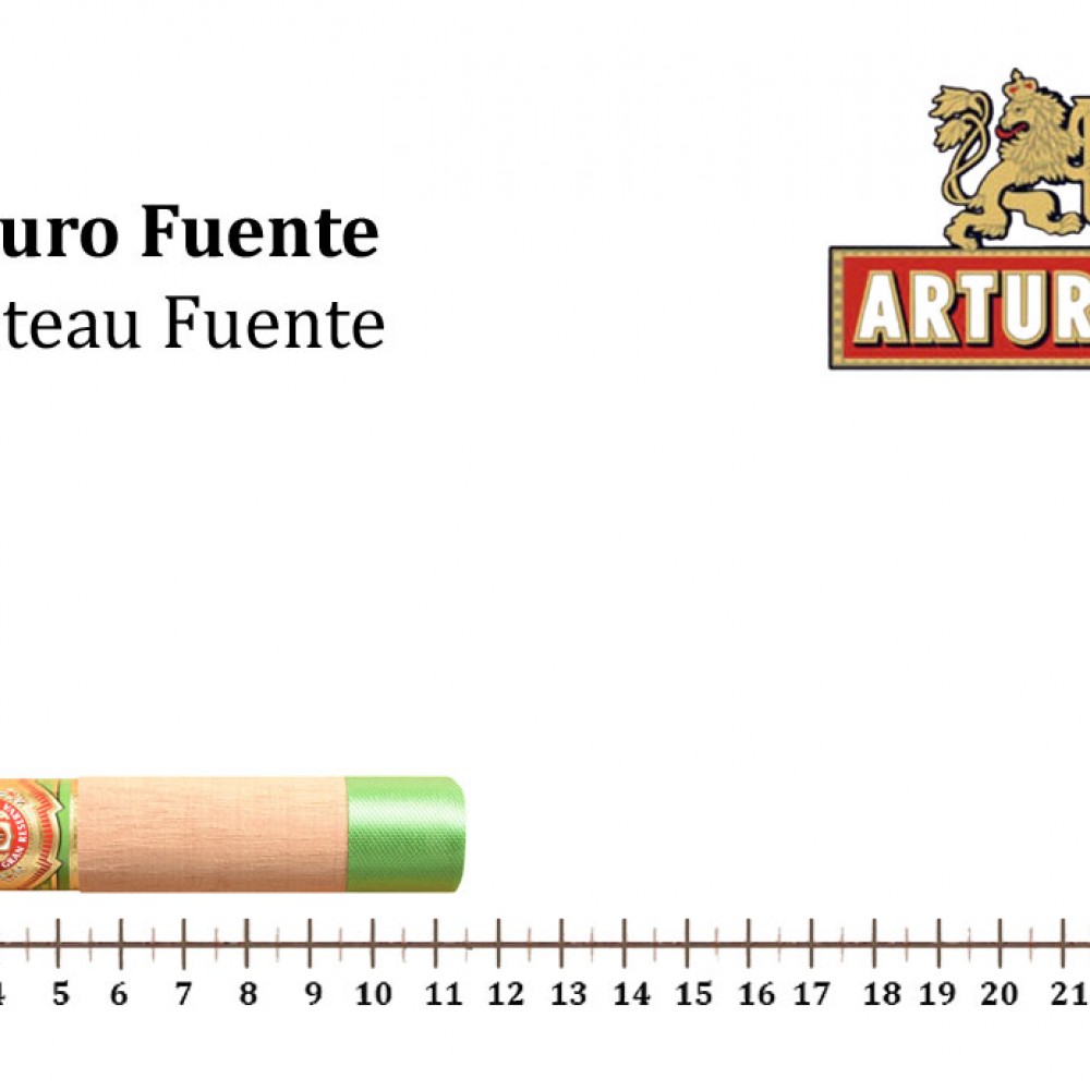 Arturo Fuente-Chateau Fuente AFCHR50