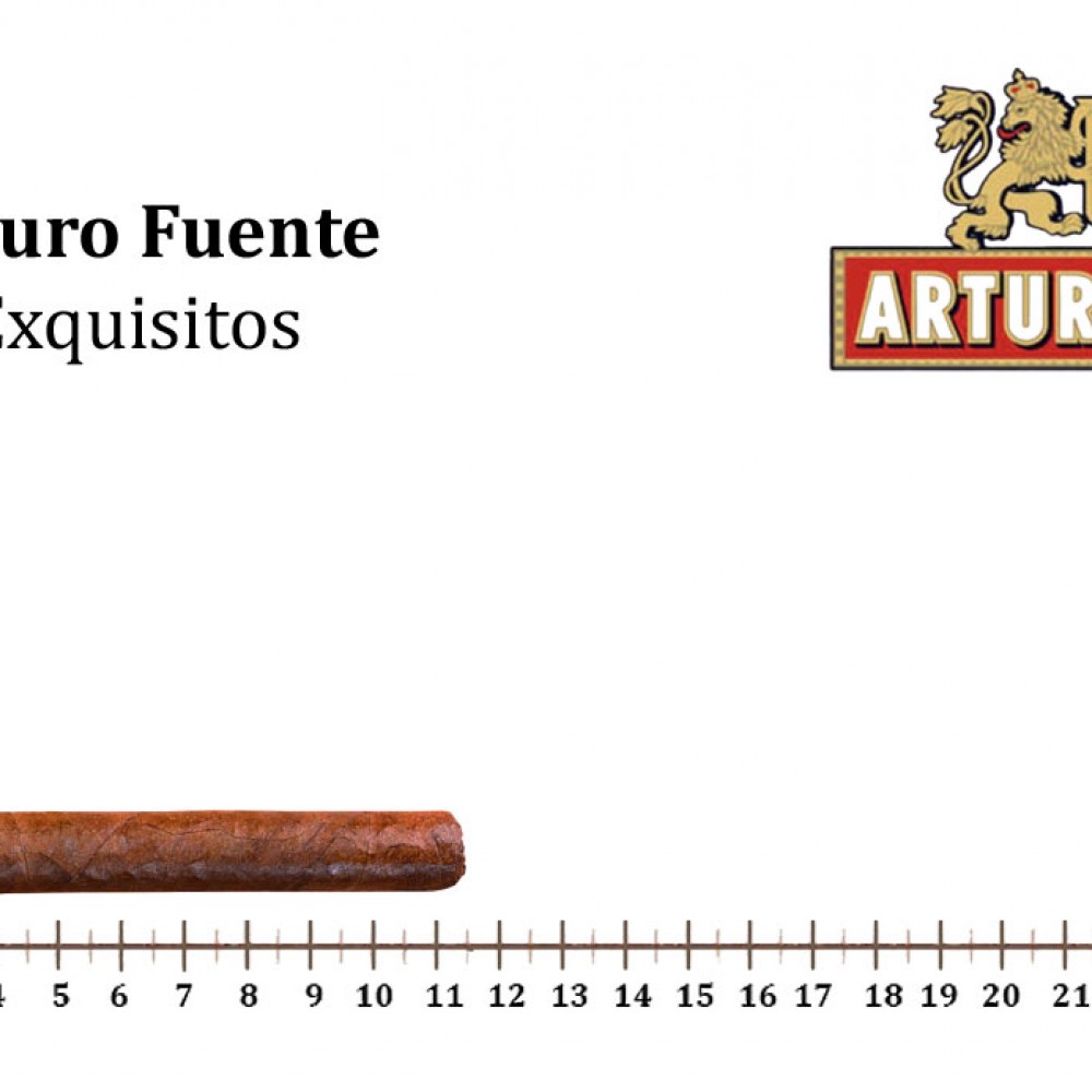 Arturo Fuente – Exquisitos AFEX33CO